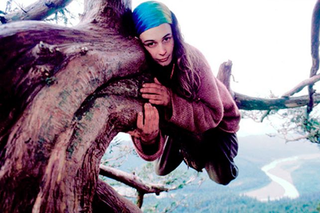 La mujer que subió a un árbol para evitar su tala y no bajó en dos años