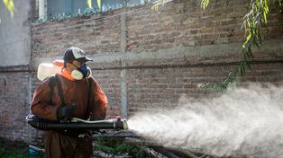 En Paran&aacute;. La cifra supera los 60 casos confirmados de dengue.