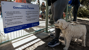 Cómo es la primera plaza para perros de Rosario inaugurada en Pichincha