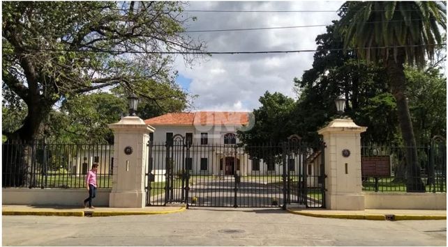 liceo