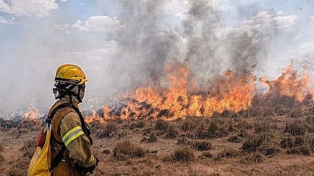 Corrientes aún arde, pero esa provincia y Nación ya piensan cómo reconstruir la producción