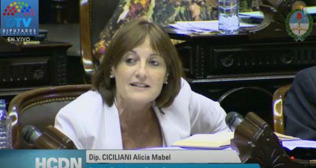 Ciciliani habló en el recinto en la maratónica sesión de Diputados.