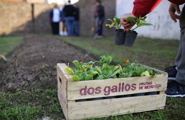 La iniciativa se implementa en el barrio Santa Rosa de Lima.
