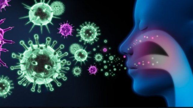 La gripe comenzó cuatro semanas antes en Europa y piden reforzar las medidas epidemiológicas