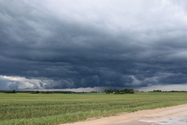 El el otoño llegó con importantes lluvias a la región pampeana.