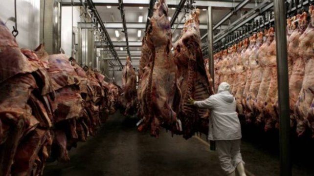 La Federación de Industrias Frigoríficas Regionales Argentinas advirtió que si no se toman medidas para recuperar competitividad