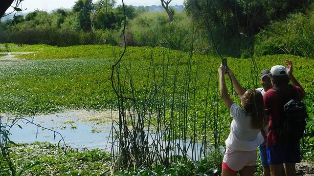 Media sanción a la ampliación del Parque Nacional Pre Delta