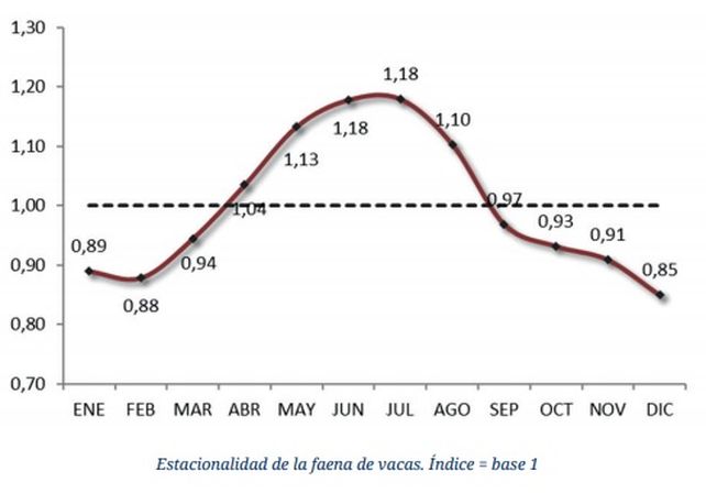 Cierre de exportaciones de carne: Un error conceptual difícil de argumentar