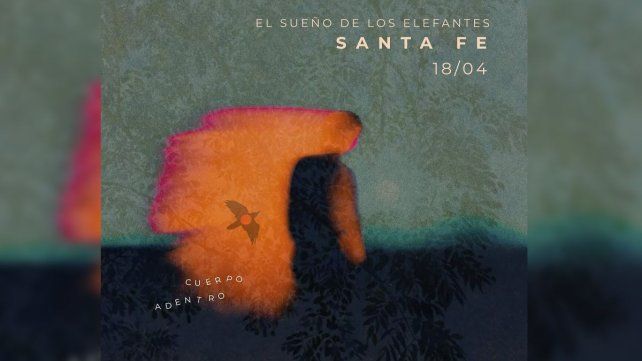 El Sueño de los Elefantes regresa a Santa Fe con la experiencia inmersiva Cuerpo Adentro