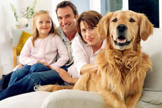 Argentina es el país de la región con más mascotas por habitante