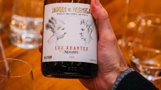 Ranking completo de los 100 mejores vinos argentinos: ¿cuánto cuesta el Nº 1?