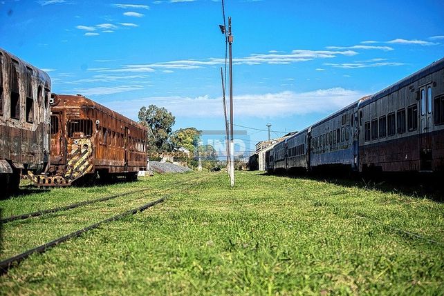 Tren