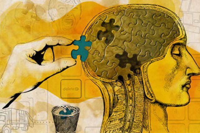 El deterioro del cerebro comienza a los ...