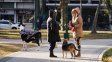 El tiempo en Rosario: martes con un leve repunte y algunas pocas nubes