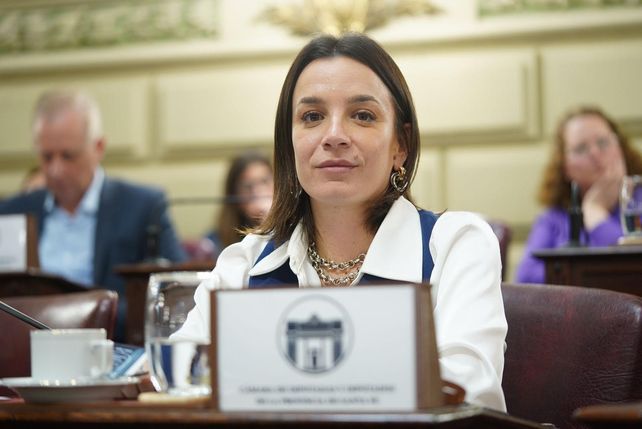 La diputada Lucila De Ponti