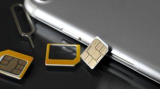 Chip del teléfono celular
