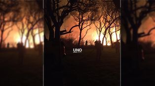 Un incendio de grandes proporciones alertó a vecinos de Sauce Viejo