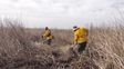 Incendios en islas del Delta: continúan los operativos Incendios en islas del Delta: continúan los operativos