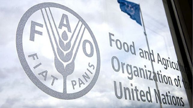 Todos los 16 de octubre el mundo celebra el Dia Mundial de la Alimentación a través de cientos de eventos promovidos por distintos actores de la sociedad.