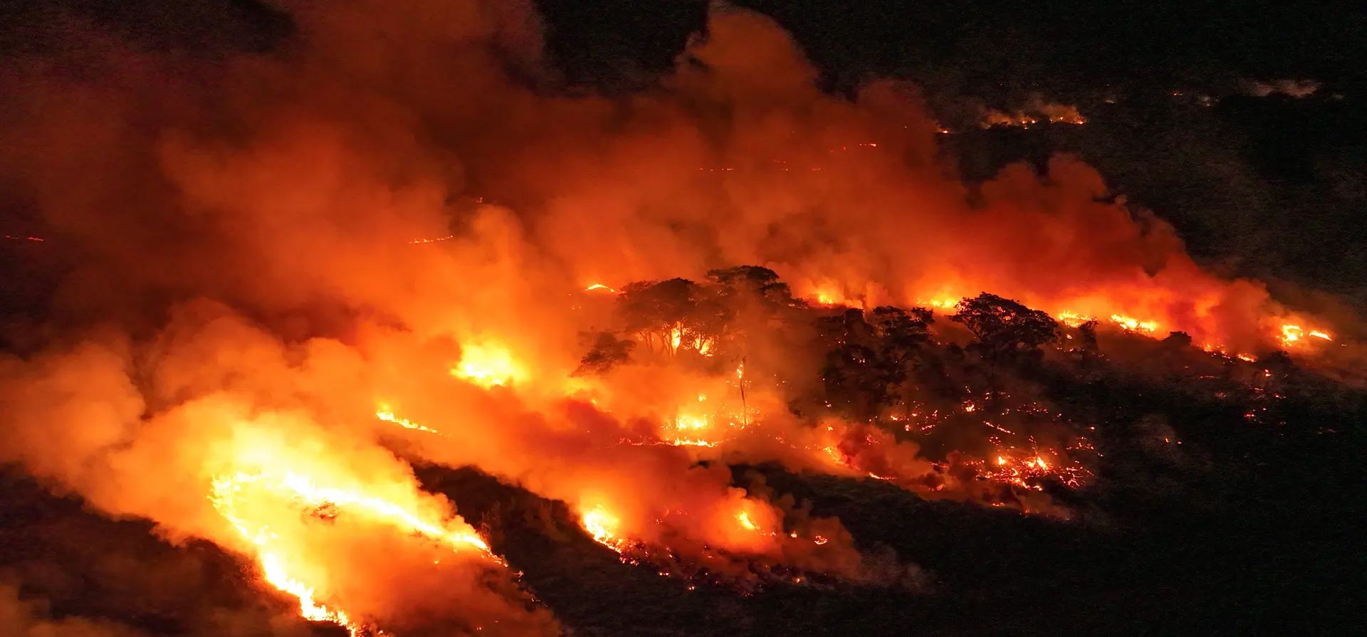 El fuego consume un área junto a la carretera Transpantaneira en los humedales del Pantanal, cerca de Pocone, en el estado de Mato Grosso. Mato Grosso, Brasil. Fotografía: André Penner/AP El fuego consume un área junto a la carretera Transpantaneira en los humedales del Pantanal, cerca de Pocone, en el estado de Mato Grosso. Mato Grosso, Brasil. Fotografía: André Penner/AP