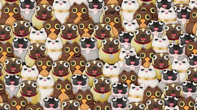 ¿Podés encontrar al panda? ¿Podés encontrar al panda?