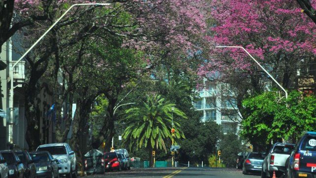 SMN: anuncian un miércoles con máximas de 27° y jueves con lluvias y tormentas
