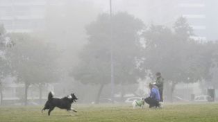 La niebla no afloja en Rosario y este sábado pisó fuerte a la mañana