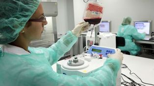 Hallaron una fórmula para multiplicar las células madre del cordón umbilical
