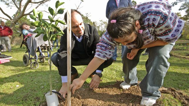 Programa de Reconstrucción: Árboles frutales perfuman el patio de Un Mundo Especial