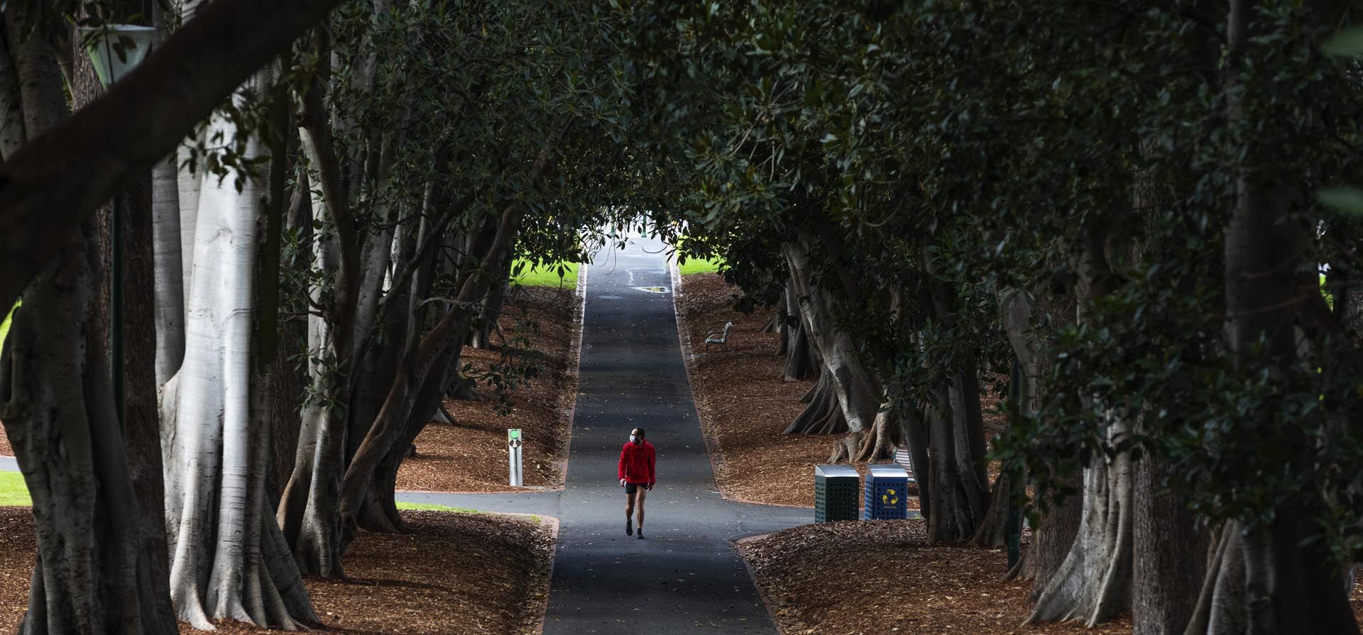 Un hombre camina por un parque de Melbourne cuando la ciudad entra en la etapa 4° de bloqueo debido a la propagación de COVID-19. La variante del coronavirus se ha extendido por Australia a pesar de su alta tasa de vacunación y estricto políticas fronterizas que mantuvieron al país en gran medida aislado del mundo durante casi dos años.