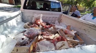 Personal del área de Control y Convivencia municipal secuestró más de media tonelada de carne en mal estado en un local de Fisherton.