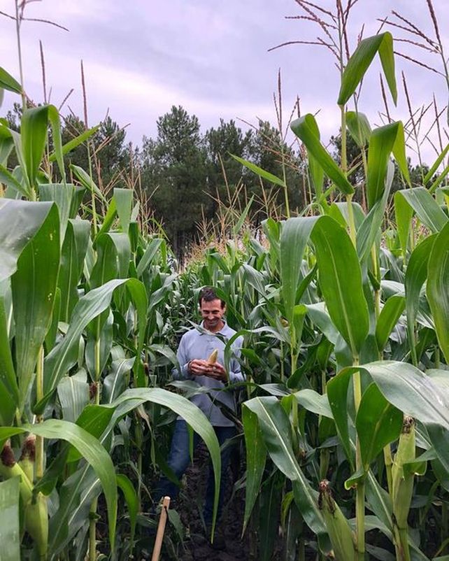Desde un pueblo santafesino, exportan a Francia bioinsumos