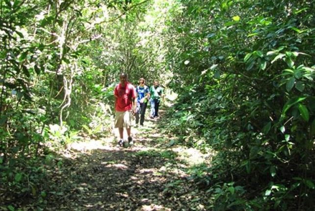 ¿Cómo fue el recorrido en el que desaparecieron los argentinos en Florianópolis?