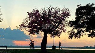 Pronóstico en Santa Fe: sube la temperatura y anticipan un marcado descenso desde el domingo