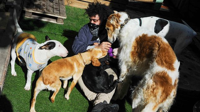Jóvenes y mascotas: una relación que se afianza y hasta cambia el mercado