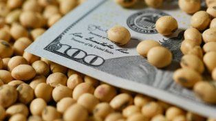 Productores tuvieron un retorno por dólar gastado del 10,5% por hectárea