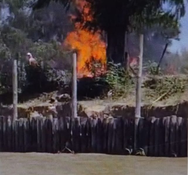 El fuego fue desatado este mediodía