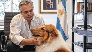 Murió Dylan, el perro del expresidente Alberto Fernández.