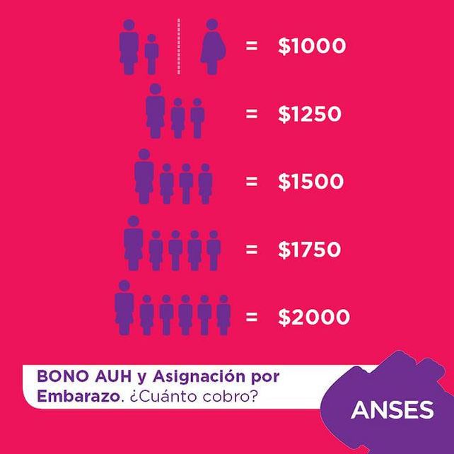 Asignación Universal: pagan desde este lunes un bono especial