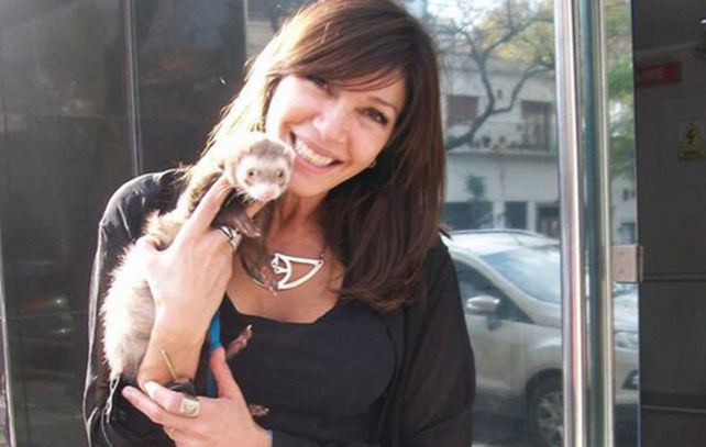 Caty debe cuidar a la mascota de su hija.