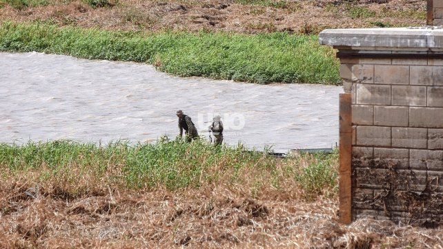 Embalsados en Santa Fe. Comenzaron los trabajos de erradicación de la vegetación acuática en la Laguna Setúbal. Foto UNO Santa Fe: José Busiemi.