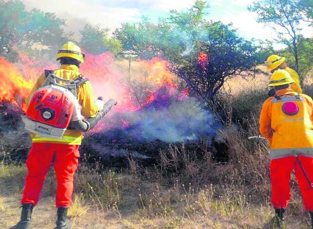 lucha sin cuartel. Los bomberos recurren a los cortafuegos.