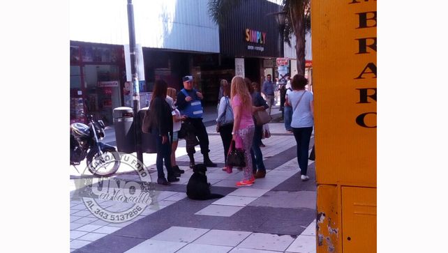 Perritos callejeros provocaron una fuerte discusión en la peatonal
