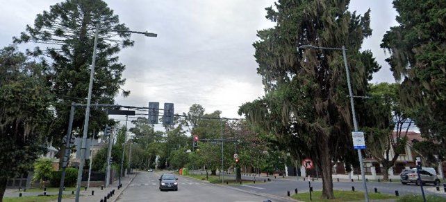 La avenida Carrasco