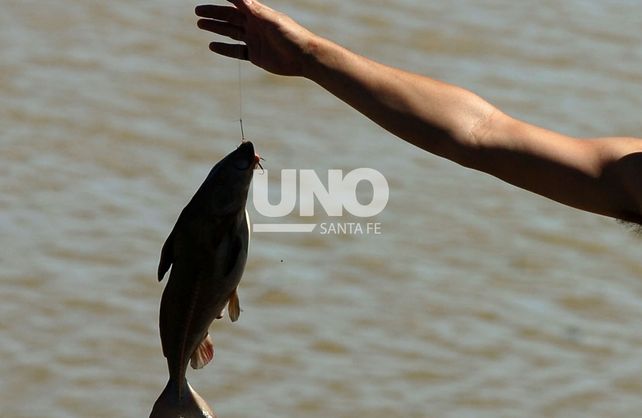 Habilitan la pesca, la navegación y actividades culturales en la provincia