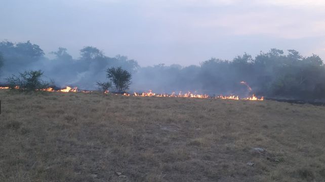 El fuego y el humo asolan el sur de Entre Ríos con incendios en la zona del Delta. Bomberos de Ceibas