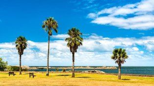 Montevideo, la capital uruguaya ofrece una amplia variedad de terrenos, desde opciones más accesibles hasta propuestas premium