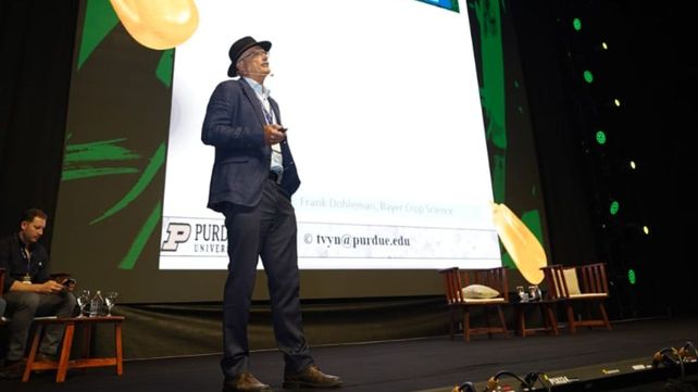 Del maíz enano a los récords mundiales: innovación y genética marcaron el pulso del 4º Congreso Internacional del Maíz