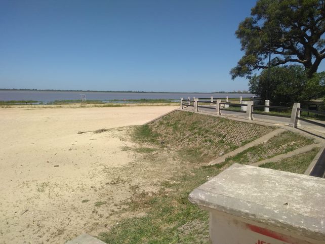 Advierten que los espigones I y II parecen una selva