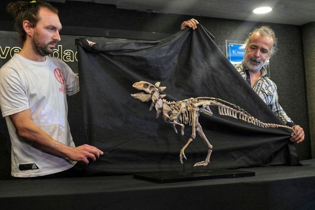 El dinosaurio era una figurita faltante en la Patagonia
